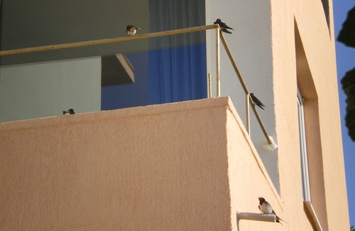 Chernomorets Casa | Experience this sunrise