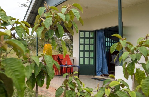 Aitong Casa | Explore the Masai Mara National Reserve
