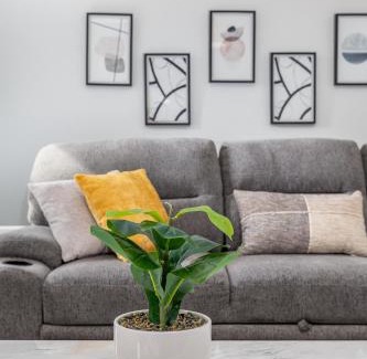 Asylum Hill Apartamento | Exquisite Downtown Loft Apartment