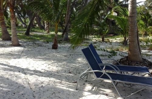 Rolleville Apartamento | El secreto mejor guardado de Exuma