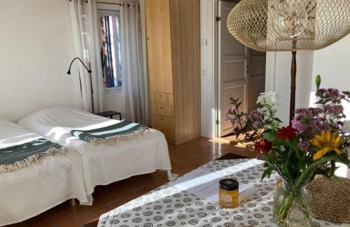 Hoor Apartamento | Förtjusande gästsvit med öppen spis