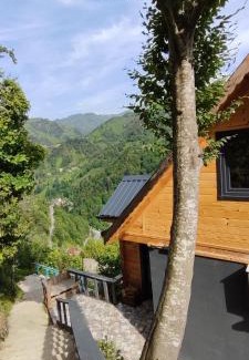 Ayder Hotel | Fırtına suit bungalov
