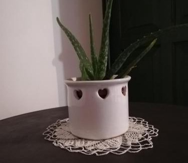 Mihalyfa Casa | Fűszeres Porta