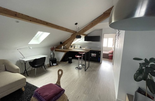 Cran-Gevrier Apartamento | F1 de 50 m2 hecho de nuevo, tiene nueve colores tranquilos y cómodos.