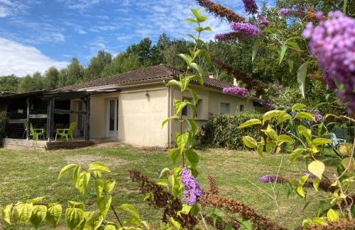 Compreignac Apartamento | F1 noir/anis, avec terrasse couverte et jardin (E)