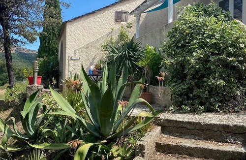 Patrimonio Apartamento | F1 with pool