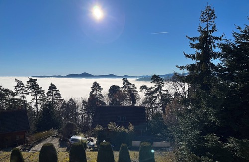 Trois-Epis Apartamento | F2 quiet Trois-Épis Magnificent view, forest walks without moderation