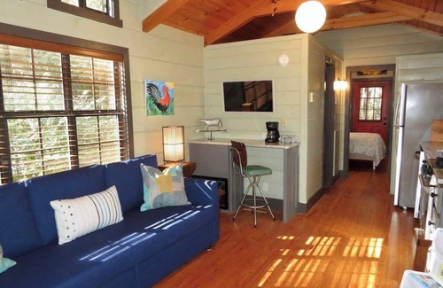 Brevard Cabina | Fabulous Cabin Near Falls, Hiking, and Fly-Fishing