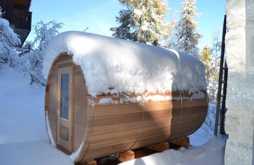 Bellentre Chalet De Esquí | Fabulous chalet La Plagne - ski in-ski out - Sauna with Mont Blanc view