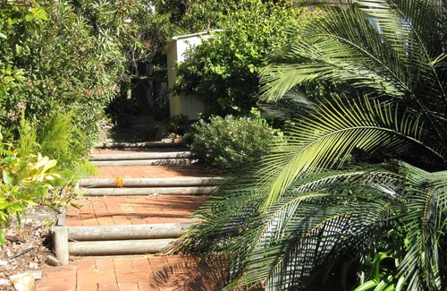 Malua Bay Casa | Avistamiento de ballenas en la bahía de Malua