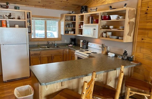Orr Cabina | Facowie Lodge - (Loon Lodge), primer alojamiento cerca de Crane Lake, MN