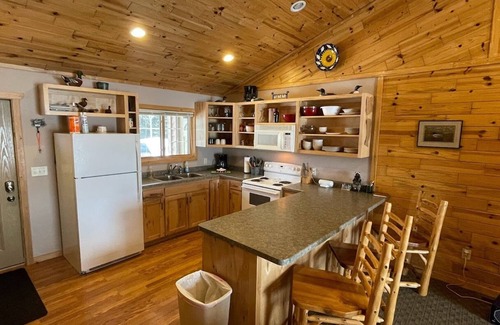 Orr Cabina | Facowie Lodge - (Loon Lodge), primer alojamiento cerca de Crane Lake, MN