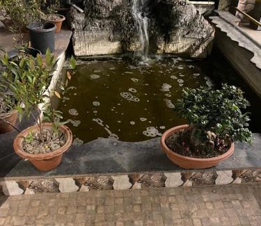 Sualkuchi Apartamento | Fad A Fish Homestay