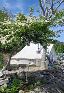 Carlingford Otro | Fairy Fort at Rosemount Glamping