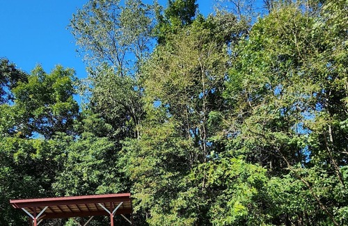 Carpenter Cabina | Fairy House - two bedroom cabin on a peaceful farm