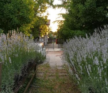 San Daniele del Friuli Casa | Falco Bianco
