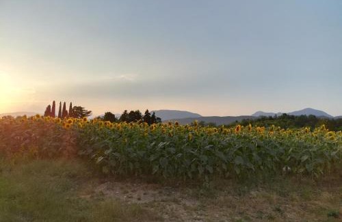 San Daniele del Friuli Casa | Falco Bianco