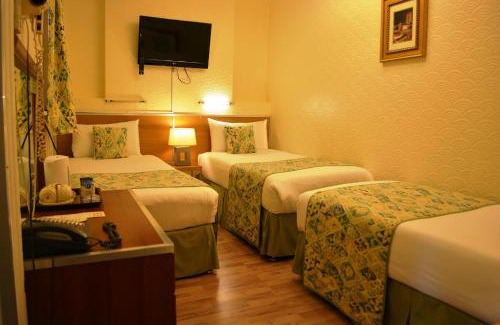 Paddington Hotel | Falcon Hotel