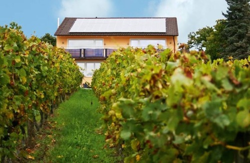 Bad Duerkheim Apartamento | Falkenhorst - casa en la montaña