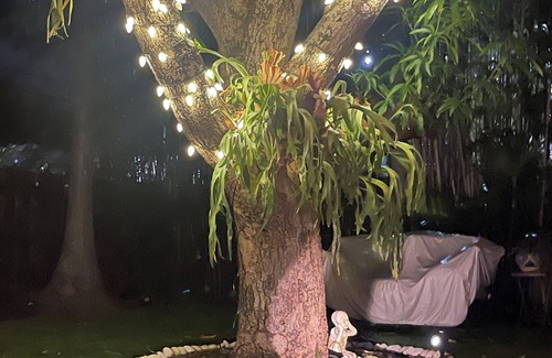 Palm Beach - West Palm Beach Cabaña | FALL CELEBRATION 10% off 1 wk now-10-15