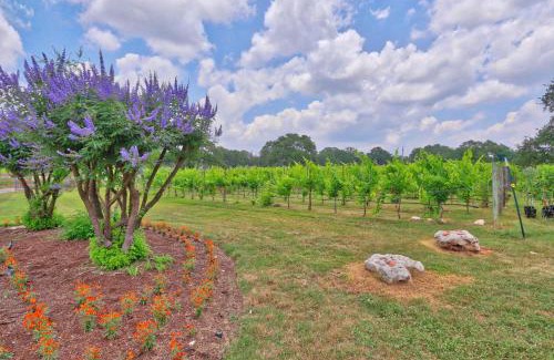 Buda Casa | Fall Creek Vineyards Chardonnay Room