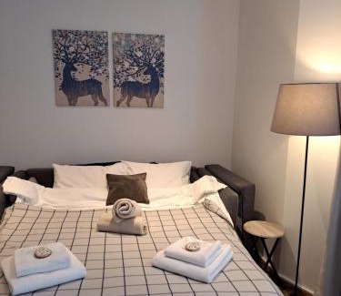 Kopaonik Apartamento | Falling Star Apartman Brzece