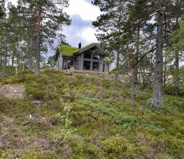 Gautefall Chalet De Esquí | Familiehytte på Gautefall nær alpint og bading
