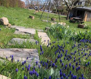 Stein am Rhein Casa | Familien-Haus,Garten,Grill,20m zum Rhein
