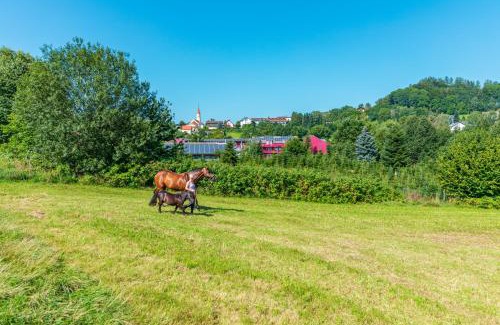 Runding Hotel | Familienhotel Reiterhof Runding