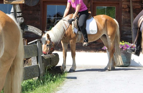 Sonnenberg Casa | Familienzimmer »morgensonne« Shortstay - Hotel Haflingerhof