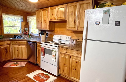 Mendota Casa | Free Wi-Fi and parking Fire pit Hike bike and kayak! The Cabin in Disguise