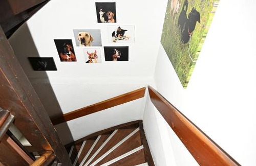 Imst Apartamento | Family and Dog