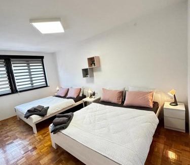 Donji Milanovac Apartamento | Family Apartman