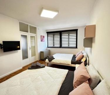 Donji Milanovac Apartamento | Family Apartman