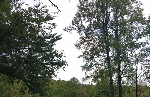 Brevard Alquiler De RV | Family Camp at Pucker Up Berry Farm