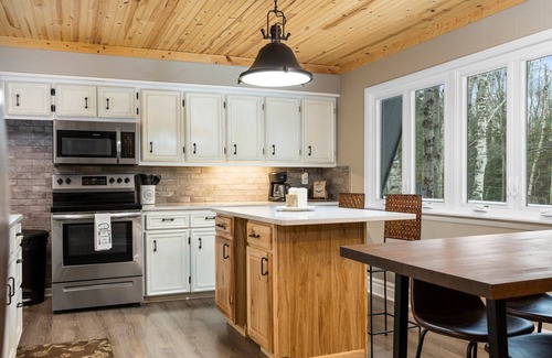 Ellsworth Chalet De Esquí | Family Chalet w/Lake MI Access- Gameroom, Firepit, Walking Labyrinth