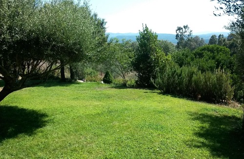 Arzachena Apartamento | Ideal para familias y mascotas.