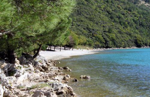 Krsan Apartamento | Family friendly apartments with a swimming pool Cepic, Central Istria - Sredisnja Istra - 15878