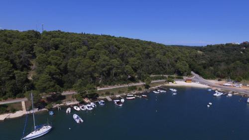 Vinkuran Apartamento | Family friendly apartments with a swimming pool Vinkuran, Pula - 15736