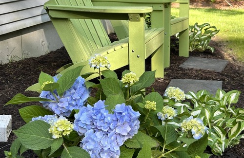 Osterville Casa | Family Friendly Cape House Retreat with Beach Pass