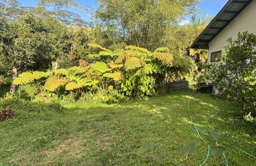 Keaau Casa | Family friendly, centrally located 2lvl home with epic furniture and fruit trees