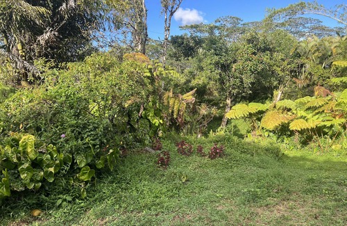 Keaau Casa | Family friendly, centrally located 2lvl home with epic furniture and fruit trees