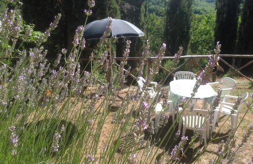 Castel Focognano Casa | Cabaña familiar en auténtico estilo de piedra Piscina Naturaleza Vino Relax Wifi