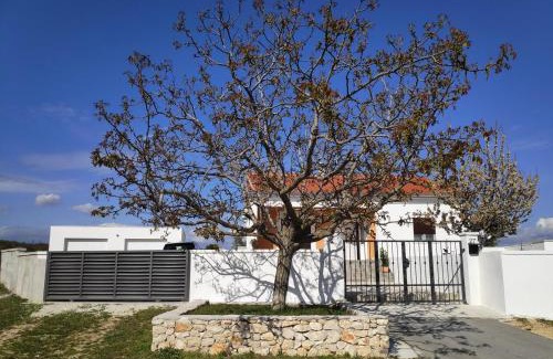 Velim Casa | Family friendly house with a swimming pool Bulic, Zagora - 18943