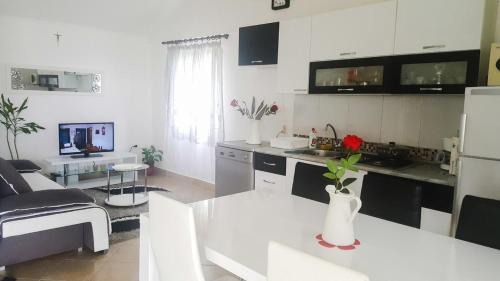 Milna (Brac) Casa | Family friendly house with a swimming pool Cove Koramaslinova - Koromaslinova, Brac - 15479