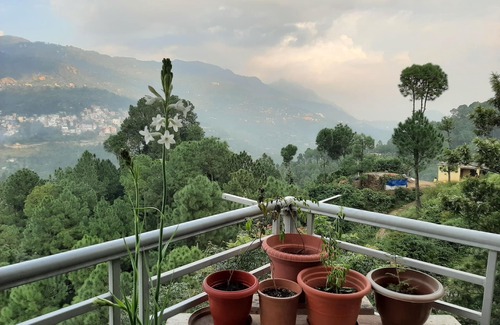 Kumarhatti Casa | Family-friendly Independent Studio Unit in Solan, Himachal Pradesh, India