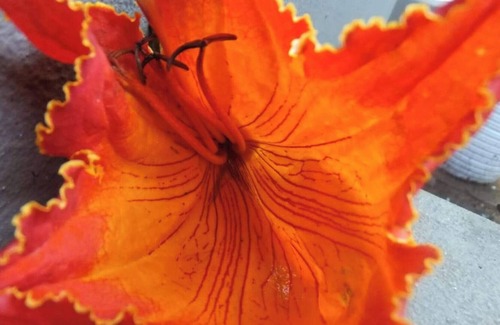 St. Lucia Apartamento | Family friendly. World heritage site, game reserves, bird trails and beaches