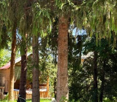 Cholpon-Ata Casa | Family Guest House