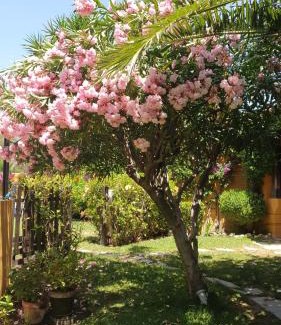 New Golden Mile Hotel | Family hotel Al- Ana Marbella