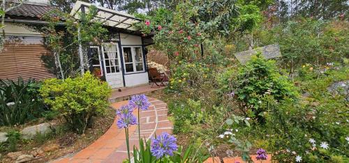Da Lat Casa | Family house - stay on pine hill Dalat